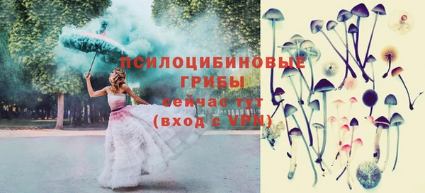 таблы Аркадак