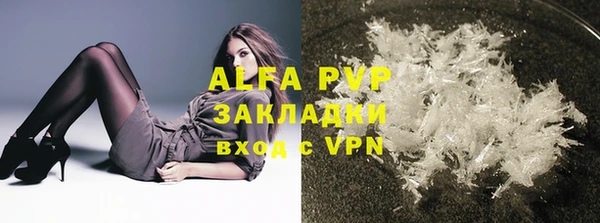 стафф Алзамай