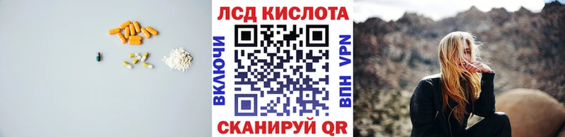 дарнет шоп Льгов гидра Лсд 25 экстази кислота